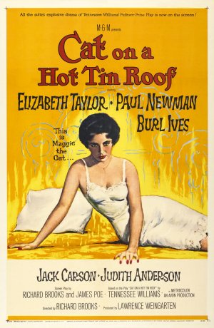 Cat on a Hot Tin Roof Poster