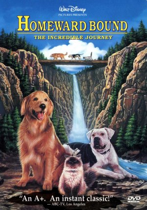 Homeward Bound: The Incredible Journey Dvd cover