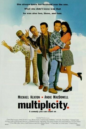 Multiplicity Poster