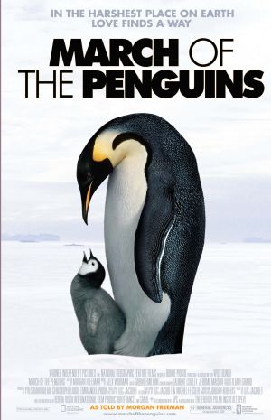 March Of The Penguins Poster