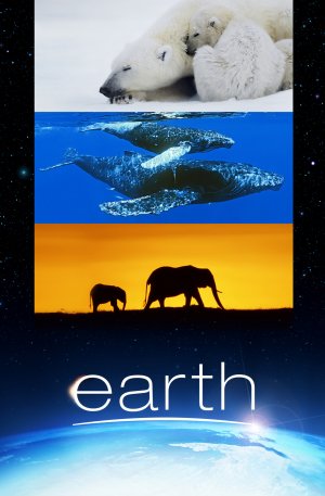 Earth Poster