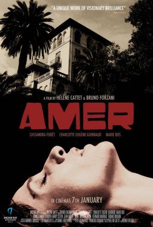 Amer Poster