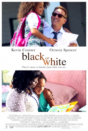 Black or White Poster