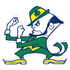 Notre Dame Fighting Irish