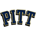 Pittsburgh Panthers